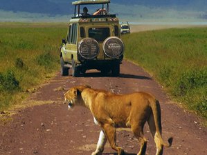2 Täge Private Tansania-Safari: Entdecken Sie die Wunder von Ngorongoro
