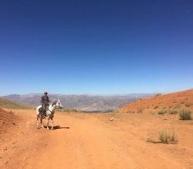 9-daagse paardrijtocht van Cappadocië naar de Zwarte Bergen in Turkije - Photo 4