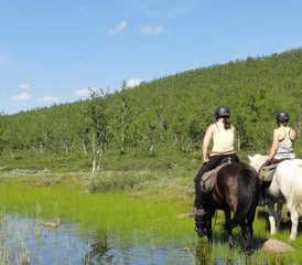 4 Tage Wohlfühl-Reiten in den Kebnekaise-Bergen - Photo 3