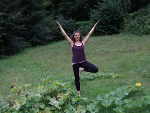 3 Tage Yoga, Breathwork und Meditation Frauen Retreat im Bayerischen Wald, Deutschland