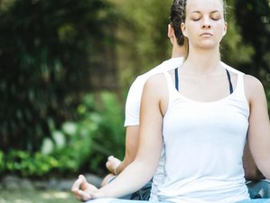 40-Daagse Transformationele Retreat met Yoga en Behandelingen in Seminyak, Bali