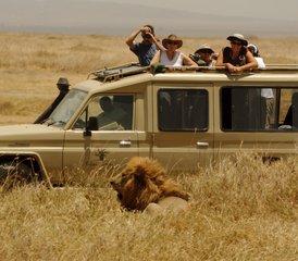 97-Daagse Privésafari in Maasai Mara, Lake Nakuru, Lake Naivasha en Amboseli, Kenia - Photo 1