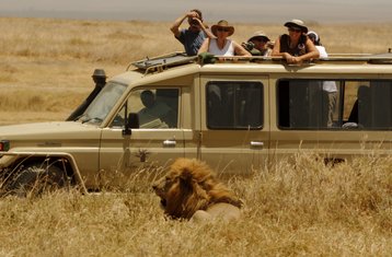 7 días de safari privado en Kenia por Maasai Mara, lago Nakuru, lago Naivasha y Amboseli