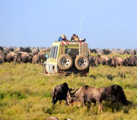 5 Días De Safari en Kenia en El Masai Mara, El Lago Nakuru Y El Lago Naivasha - Photo 2