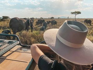 11 Day Budget-friendly Kenya and Tanzania Safari Package in the Mara, Amboseli, Serengeti, and More