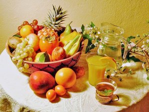 8 Day Private Detox and Healing Retreat in a Pristine Paradise with Seaview on La Palma, Spain