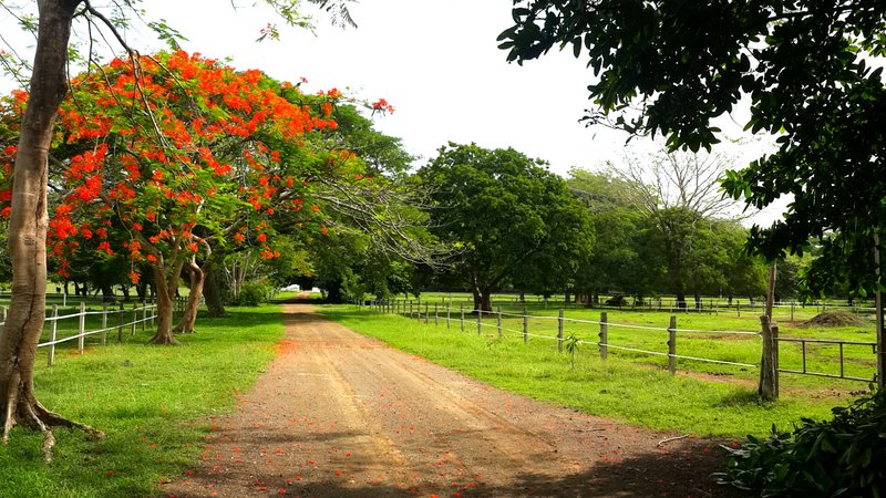 8 Day Old Spanish Trail & Pacific Beaches - the Best Horse Riding Holiday in Santa Cruz, Guanacaste