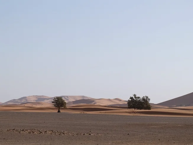 9 Day Atlas and Desert Guided Motorcycle Tour in Morocco photo 8