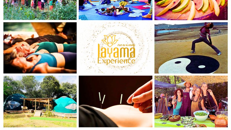 8 Day "Renew & Rejoice” Yoga Retreat at Jungle Bay Luxury Resort, Dominica Island
