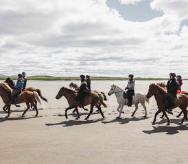 8 Day Mountain and Beach Horse Riding Holiday in Snæfellsnes, Iceland - Photo 2