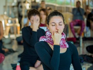 Self-Paced 50-Hour Online Pranayama Teacher Training
