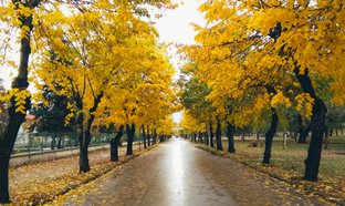 Pogradec Retraites en Reizen