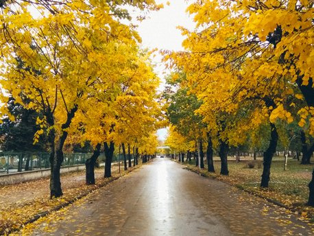 Pogradec