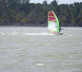 7 Tage aufregendes Windsurf-Camp für Anfänger im Palmresort in Kalpitiya, Sri Lanka - Photo 5