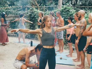 8 Day The Ultimate Package Surf and Yoga Holiday Sayulita, Mexico