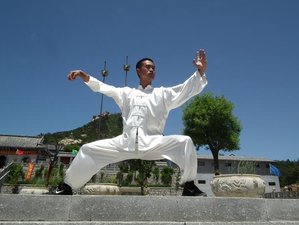 5 Year Mastering Kung Fu in Weihai, Shandong