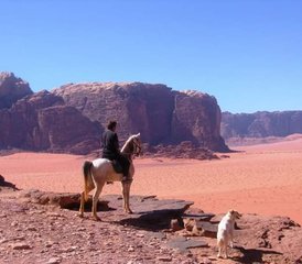 109 Day Luxury Petra and Wadi Rum Horse Riding Tour in Jordan - Photo 1