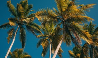 Samaná Retraites et Voyages