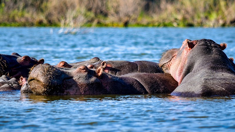 7 Day Incredible Best of Kenya Budget Safari