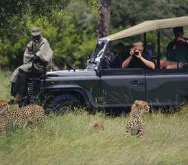 4-Daagse Budget Safari in Serengeti National Park en Ngorongoro Crater, Tanzania - Photo 2