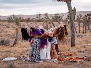 6 Day 50hr Continuing Education Retreat and Teacher Training in the Beautiful Joshua Tree Area, USA