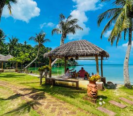 012-Daagse Complete Detox- en Yoga Retreat op Koh Phangan, Thailand - Photo 1