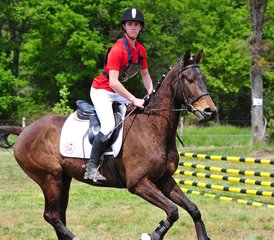 8 Day Teens' Show Jumping, Cross Country and English Training on Aquitaine Atlantic Coast, France - Photo 3