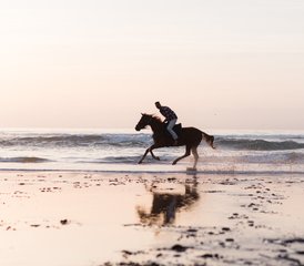 4 Day Escape to Argana: Equestrian Fairy Tale Horse Riding Holiday in Morocco - Photo 2