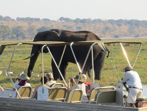 5 Days Hwange National Park and Victoria Falls Safari in Zimbabwe
