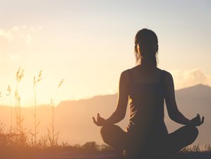 Online Private Reiki Session
