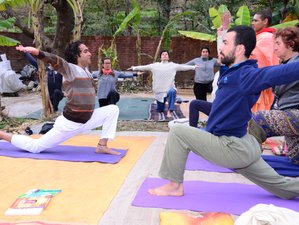 21 Tage 200-Stunden Yogalehrer Ausbildung in Rishikesh