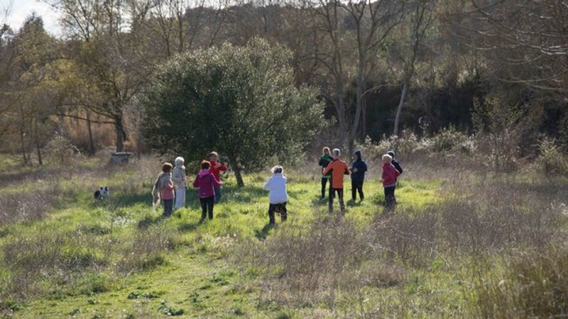 6 Day Yoga Retreat with Qigong and Meditation near Carcassonne, France