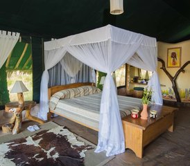 2 jours en stage de safari avec nuit à Amboseli National Park, Kenya - Photo 4