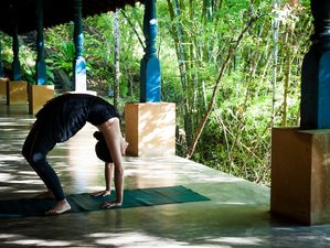 4 Day Yoga Retreat in Kandy, Central Province, Sri Lanka