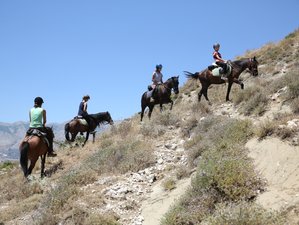 12 Day Horse Riding Adventure along the Last Wild River of Europe, Vjosa River