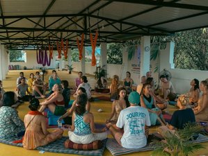 7 jours en stage de formation de professeur d’aerial yoga 50 heures à Goa, Inde