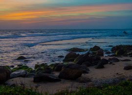 Kovalam Retreats & Trips