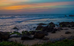 Kovalam Retreats & Trips