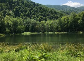 Dilijan National Park Retreats & Trips