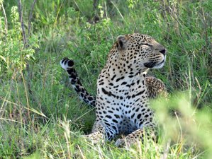 7 Day Budget Kenya Safari to Maasai Mara, Lake Naivasha, and Amboseli National Park