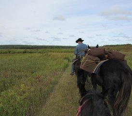 02 Tage Campingabenteuer und Reiturlaub im Riding Mountain National Park, Kanada - Photo 1