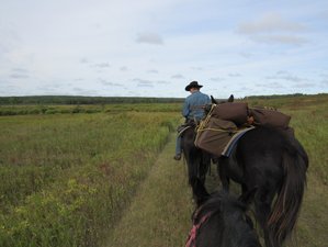 2 Day Camping Adventure and Horseback Riding Holiday in Riding Mountain National Park, Canada