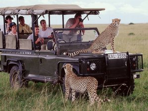 7 Day Safari Collection Luxurious Package in Kenya: Samburu Special Five and Masai Mara Sundowners