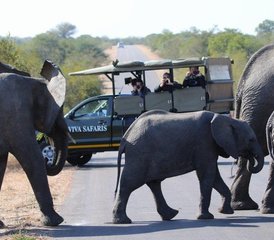 4 Tage Luxus-Safari im Balule Nature Reserve und im Kruger-Nationalpark, Südafrika - Photo 4