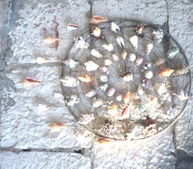 7 Días De Retiro De Yoga en La Isla De Korčula, Croacia - Photo 4