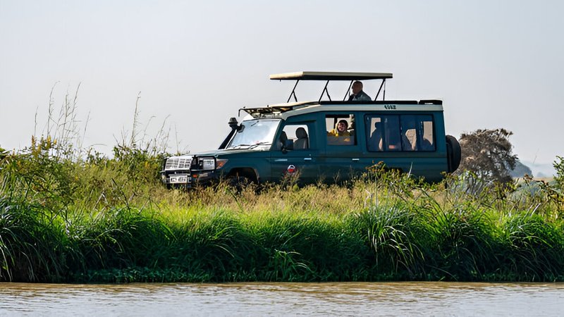 8 Day Safari Experience With Gorilla, Chimps, and the Big Five in Uganda