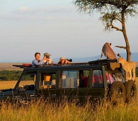 5 dagen De klassieke Tanzania safari-ervaring - Photo 5