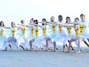 14 Day 100-Hour Hatha & Vinyasa Flow Yoga Teacher Training in Goa, India