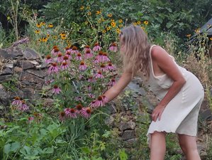 8 Day Herbal Skincare Creation Holiday and Hands-on Workshop in Alájar, Andalusia, Spain