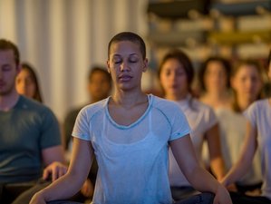 4 Day Meditation and Mindfulness Retreat in Knysna, South Africa